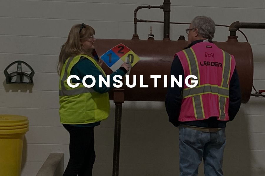 Consulting services